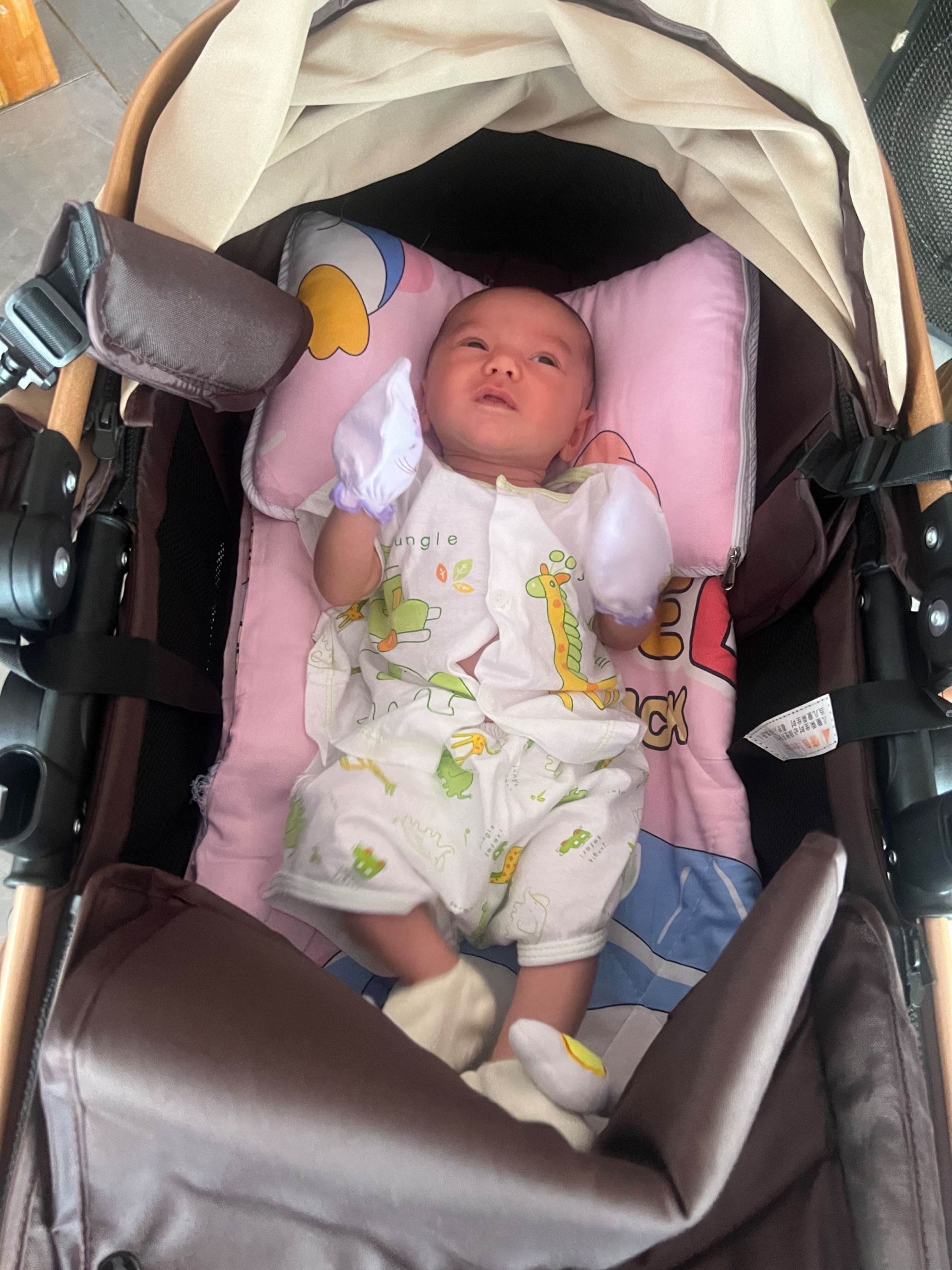 First Transport